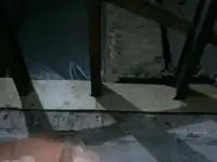 Ремонт помещений  СПб и обл, фотография 2