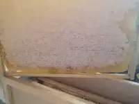Мед цветочный, фотография 2