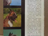 Atlas plemen psu Атлас пород собак 1973 г, фотография 2