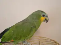 Ветеринарная клиника, фотография 9