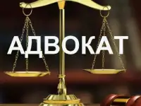 Адвокат Жаворонкова Карина Игоревна.