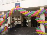 Гирлянда на Вход в школу из воздушных шаров