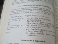 Карманный русско-польский  и  польско-русский словарь  1983  Издательство Русский язык  издание качественное !  на нор, фотография 3