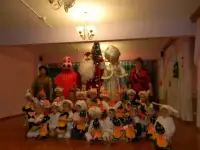 Дед Мороз и Снегурочка! В детский сад, на дом, в школу