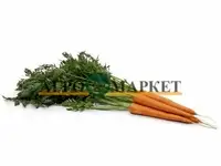 Морковь вармия f1 2,0-2,2 (1 000 000 семян) rijk zwaan