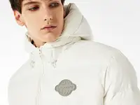 Мужская короткая куртка-пуховик lacoste, фотография 4
