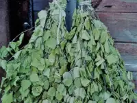 Веник березовый для бани и сауны. Лучшего качества