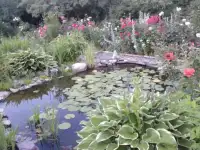 ландшафтный дизайн
