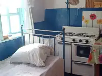 Продам дом с участком в ДНР, Амвросиевский район, село Новопетровское 65,00 м2, фотография 7