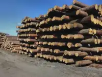 Продаем срубы домов и бань в Нижегородской области, фотография 3