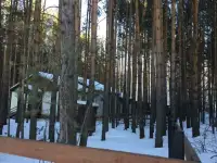 Продам конюшню, фотография 4