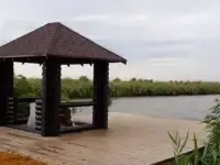 Террасная доска лиственница ДПК Наличие Доставка Укладка Гарантия Качество, фотография 7
