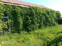 Продам: отдельный гараж, 55.4 м2