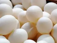 Яйца домашние куриные