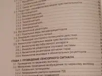 Сенсорная дезинтеграция в невропатологии. Г.А.Иваничев, фотография 5