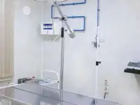 Кастрация кошек и собак, фотография 2
