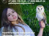 Регистрация товарного знака