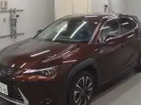 Автомобиль из Японии Lexus UX