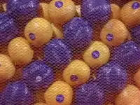 Овощи фрукты, фотография 6