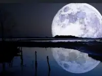 Установлю Windows