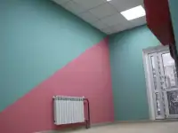 Покраска стен и потолков.