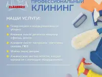 Химчистка мягкой мебели, ковров и ковровых покрыти