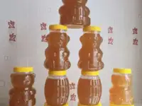 Алтайский мёд