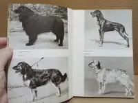 Atlas plemen psu Атлас пород собак 1973 г, фотография 10