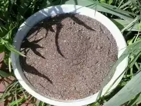 Натуральные сыпучие удобрения из сапропеля