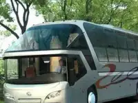 Отключение мочевины на китайских автомобилях., фотография 2