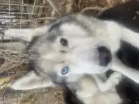 Нуждается в помощи