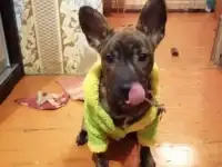 Отдам