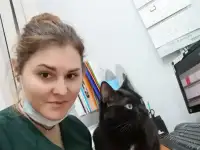 Ветеринарный врач дерматолог в Ясенево.