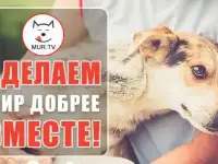 Информационный партнер