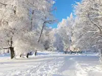 Массаж лечебный