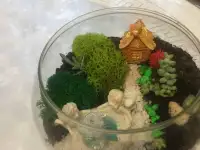 Флорариум., фотография 2