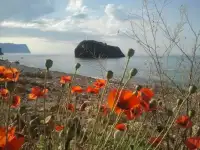 Отдых на море