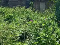 продажа дом Дорожник-3 Дальнеконстантиновский р-н. 50,00 м2, фотография 10