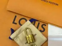 Сумка Louis Vuitton speedy, фотография 3
