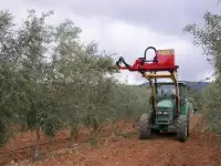 Обрезчик деревьев