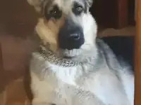ВЕО ищет жениха