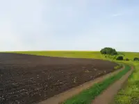 Готовый фермерский бизнес, поля, земля, техника, сады, амбары, сарайи, гаражи, фотография 2