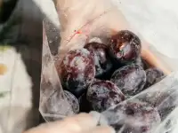 Замороженные грунтовые фрукты (распродажа)