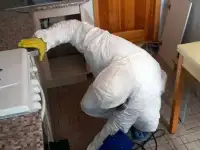 Уничтожение Клопов. Обработка от Тараканов