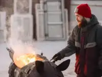 Мангал фигурный 