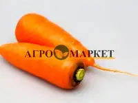 Морковь абако f1 2,2-2,4 (1 000 000 семян) seminis