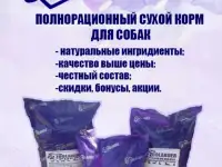 Оформление документов РКФ, Кинологический клуб, фотография 2