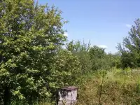 Продам участок в СНТ Лотос, фотография 3