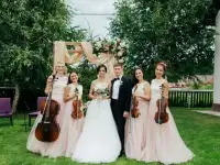 Живая музыка скрипка, фотография 3