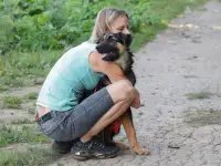 Щенок-подросток Вилли в добрые руки, фотография 2
